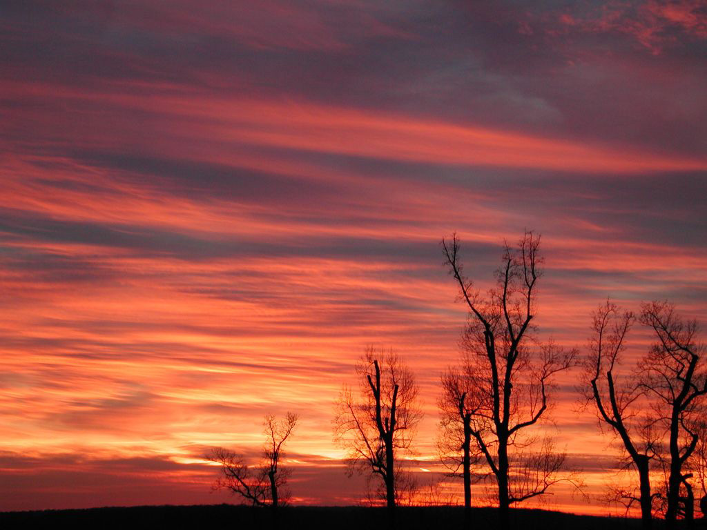 everydayset.jpg