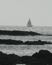 sailboat2