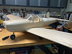 img_1540.jpeg