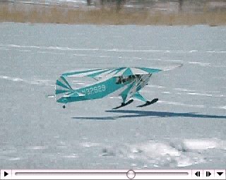 Piper Cub on skis