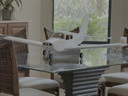 Click on thumbnail to enlarge IMG_1287.jpeg