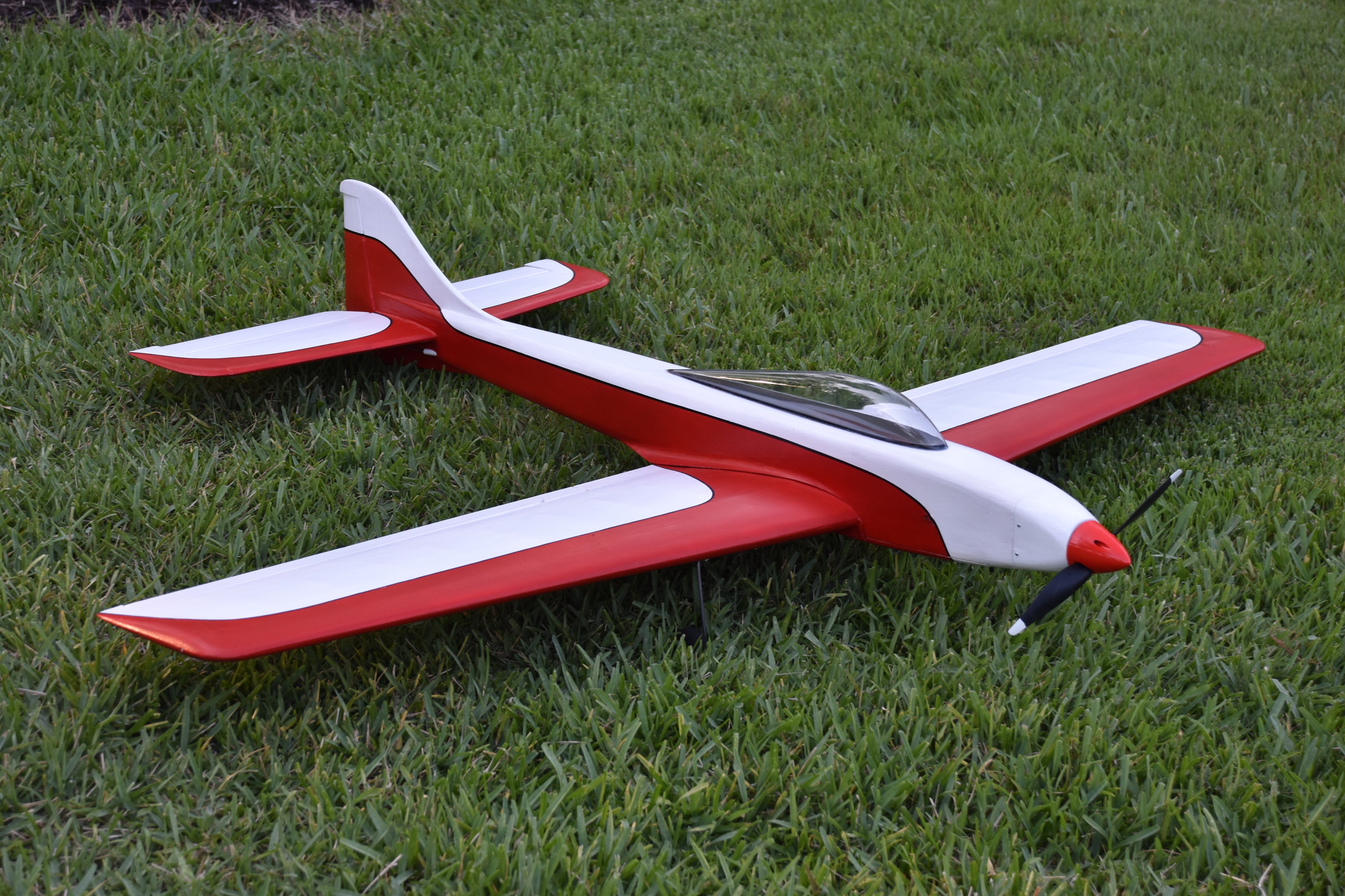 Dirty Birdy RC model airplane