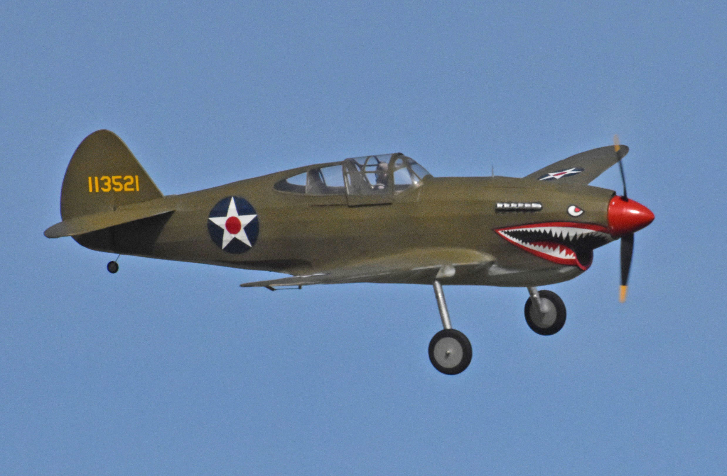 EasyBuilt P-40 RC model airplane