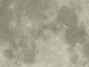 moondt.jpg