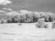 landscape infrared