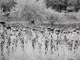 Provence infrared