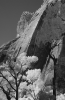 Zion Canyon infrared