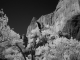 Zion Canyon infrared