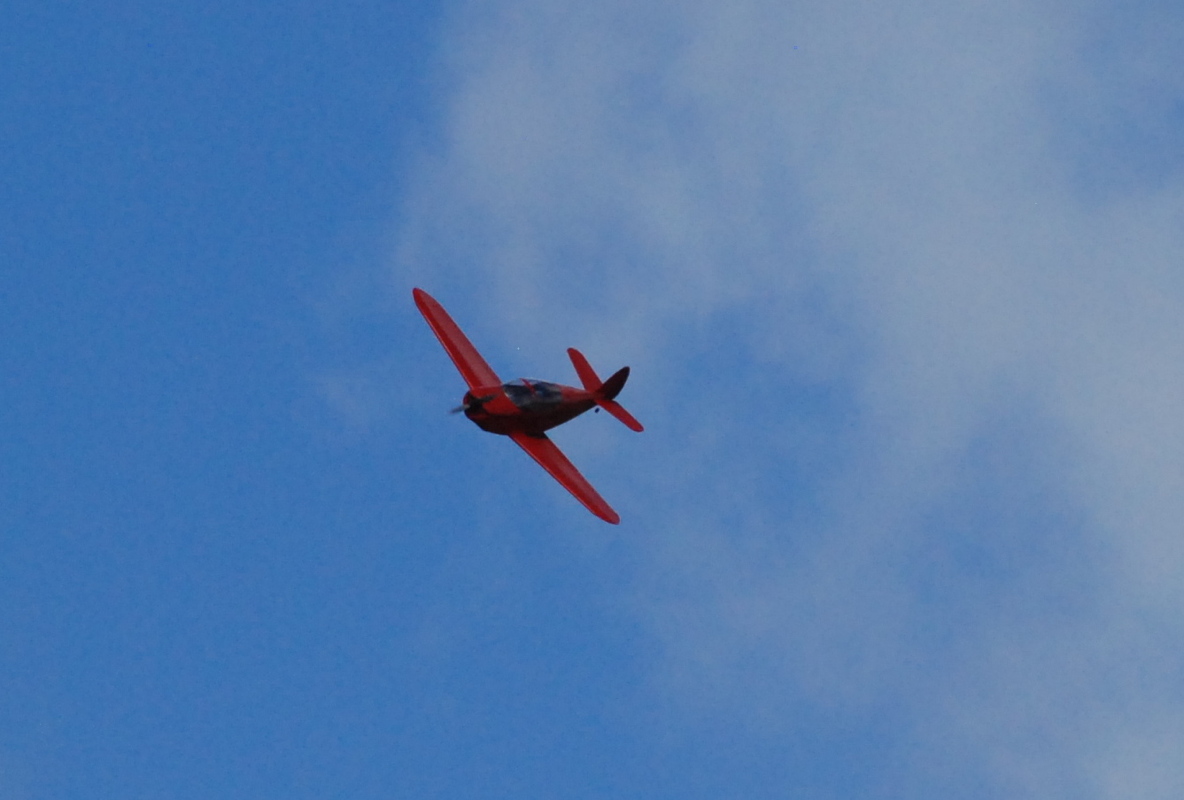 img_9856.jpg
