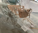 img_6633.jpeg