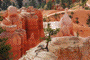 Bryce Canyon