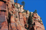 Zion Canyon